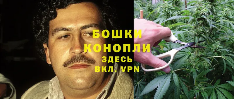 Бошки Шишки Ganja  что такое наркотик  Изобильный 